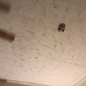 Meet your Posher, Kenyatta